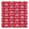 Ohio State University Buckeyes Rotary Queen Bed In a Bag Set - 1COL/87500/I007/EDC