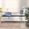 Capri Comfortable Sleep 12" Medium Tight Top Hybrid Pocket Spring Mattress, Twin - King